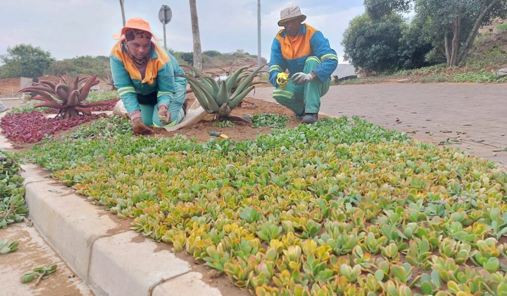 A collective effort – Sibaya Precinct MGT